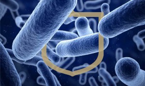 Maatregelen en gevolgen van de listeria-affaire