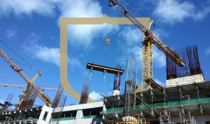 Hoe heeft de stikstofcrisis zo ver kunnen komen?